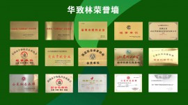 榮譽頭圖